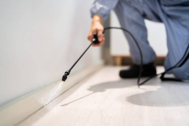 Rodent Entry Point Assessment in Hermiston