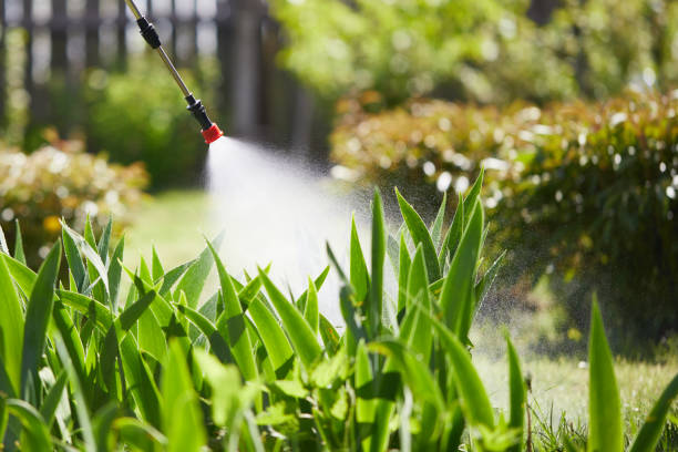 Tamper-Resistant Bait Stations for Rodents in Hermiston