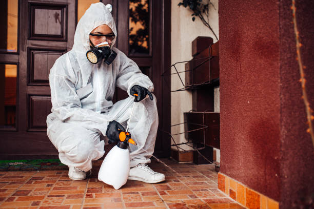 Attic and Crawl Space Rodent Treatment in Hermiston