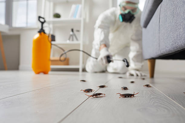 Commercial Rodent Management in Hermiston